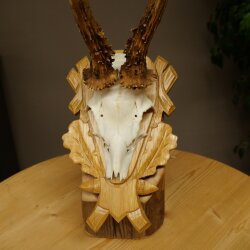 Rehgeweih Rehbock Gewicht 320g Reh Geweih Bock Gehörn geschnitztem Trophäenschild 607.166