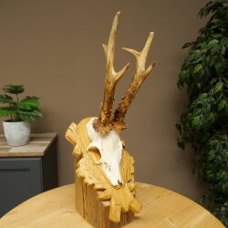 Rehgeweih Rehbock Gewicht 320g Reh Geweih Bock Gehörn geschnitztem Trophäenschild 607.166