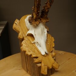 Rehgeweih Rehbock Gewicht 320g Reh Geweih Bock Gehörn geschnitztem Trophäenschild 607.166