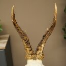 Rehgeweih Rehbock Gewicht 320g Reh Geweih Bock Gehörn Trophäenschild 607.167