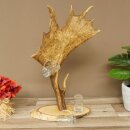 Fornitore di grappa Birke Schild, vassoio per grappa con corna di daino, 6 pezzi, Krügele 27.7.6.29