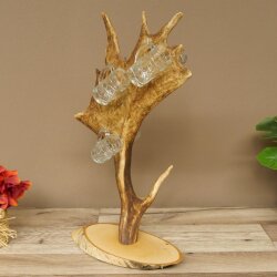 Fornitore di grappa Birke Schild, vassoio per grappa con corna di daino, 6 pezzi, Krügele 27.7.6.29