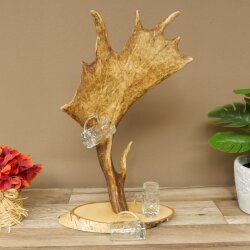 Fornitore di grappa Birke Schild, vassoio per grappa con corna di daino, 6 pezzi, Krügele 27.7.6.29