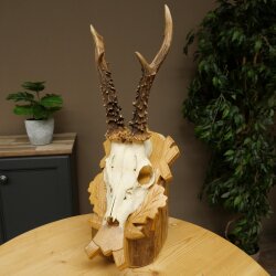 Rehgeweih Gewicht 275g Reh Geweih Gehörn Rehbock Trophäe auf geschnitztem Schild 606.161