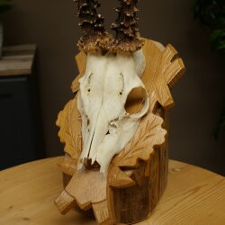 Rehgeweih Gewicht 275g Reh Geweih Gehörn Rehbock Trophäe auf geschnitztem Schild 606.161