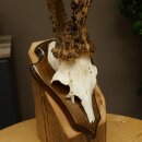 Rehgeweih Reh Geweih Gehörn Rehbock Trophäe auf Trophäenschild 606.162