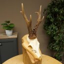 Rehgeweih Gewicht 320g Reh Geweih Gehörn Rehbock Trophäe auf Trophäenschild 606.164