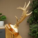 Reehoorn Reehoorn Hoorns Reebok op trofeeplaat 605.140