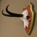 Gamsgeweih Geiß SL 19,3 cm Gams Gems Geweih auf  Trophäenschild 47.290