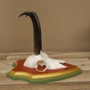 Gamsgeweih Geiß SL 19,3 cm Gams Gems Geweih auf  Trophäenschild 47.290