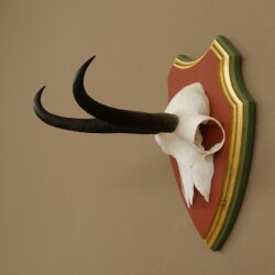 Gamsgeweih Geiß SL 19,3 cm Gams Gems Geweih auf  Trophäenschild 47.290