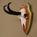 Gamsgeweih Bock SL bis 18,7cm Gams Gems Geweih auf Trophäenschild 47.291