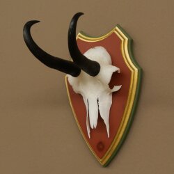 Gamsgeweih Bock SL bis 18,7cm Gams Gems Geweih auf Trophäenschild 47.291