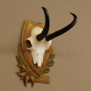 Gamsgeweih Geiß SL bis 19,5cm Gams Gems Geweih auf geschnitztem Trophäenschild 47.292