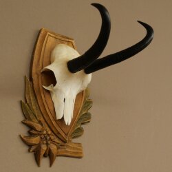 Gamsgeweih Geiß SL bis 19,5cm Gams Gems Geweih auf geschnitztem Trophäenschild 47.292