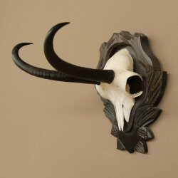 Gamsgeweih Bock SL bis 23,5m Gems Geweih auf geschnitztem Trophäenschild 47.296