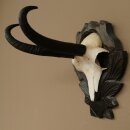 Gamsgeweih Bock SL bis 22,8cm Gems Geweih auf geschnitztem Trophäenschild 47.299
