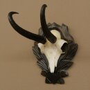 Gamsgeweih Bock SL bis 22,8cm Gems Geweih auf geschnitztem Trophäenschild 47.299