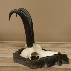 Gamsgeweih Bock SL bis 22,8cm Gems Geweih auf geschnitztem Trophäenschild 47.299