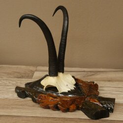 Gamsgeweih Geiß SL bis 22,9cm Gams Gems Geweih auf handgeschnitztem Trophäenschild 47.302