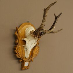 Rehgeweih Rehbock Gewicht 280g Reh Geweih Bock Gehörn auf geschnitztem Trophäenschild 607.168