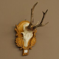 Rehgeweih Rehbock Gewicht 280g Reh Geweih Bock Gehörn auf geschnitztem Trophäenschild 607.168
