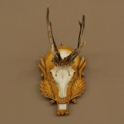 Rehgeweih Rehbock Gewicht 280g Reh Geweih Bock Gehörn auf geschnitztem Trophäenschild 607.168