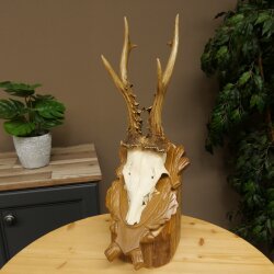 Rehgeweih Rehbock Gewicht 320g Reh Geweih Bock Gehörn auf geschnitzem Trophäenschild 607.169