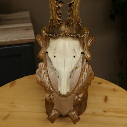 Rehgeweih Rehbock Gewicht 320g Reh Geweih Bock Gehörn auf geschnitzem Trophäenschild 607.169