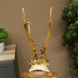 Rehgeweih Rehbock Gewicht 320g Reh Geweih Bock Gehörn auf geschnitzem Trophäenschild 607.169
