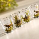 6 teiliges Schnaps Gläser Set "kurz" mit farbigen Jagdmotiv - 2 cl -