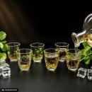 6 teiliges Schnaps Gläser Set "kurz" mit farbigen Jagdmotiv - 2 cl -