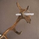 ROTHIRSCH Geweih16 Ender mit 10,4 kg Hirsch Geweih STARK KAPITAL mit ganzer Nase und Oberkiefer H111cm