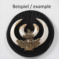 Boar shield, boar board, trophy board, round, dark, AF 17 cm, with oak leaf cover sheet, large