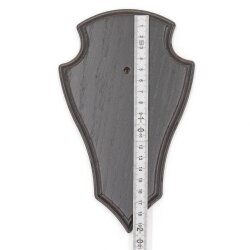 5 Stück Reh Trophäenschild Spitz klein Eiche dunkel AF 19 cm x 11 cm mit 1 Kieferfach