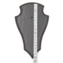 3 Stück Reh Trophäenschild Spitz klein Eiche dunkel AF 19 cm x 11 cm mit 1 Kieferfach und 3 Stück Gehörnklammer