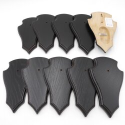 10 pieces of small pointed deer trophy plaque, dark oak, AF 19 cm x 11 cm, with 1 pine compartment