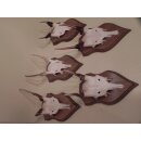 5 Damhirsch Spießer Spiesser Dam Hirsch Geweih auf Trophäenschild #72.276