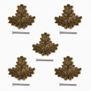 5 x HOJA DE ROBLE Cubierta para trofeos de armas de caza mayor