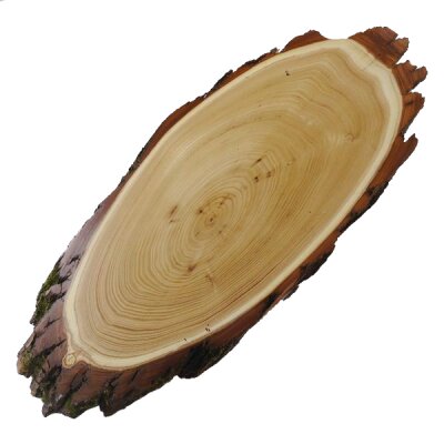 Acacia trofeeplaat Rothirsch gewei hert hertengewei boomplaat AF 39-40 cm
