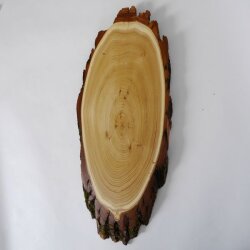 Acacia trofeeplaat Rothirsch gewei hert hertengewei boomplaat AF 39-40 cm