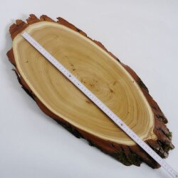 Acacia trofeeplaat Rothirsch gewei hert hertengewei boomplaat AF 39-40 cm