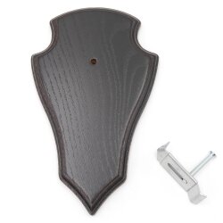 1 Stück Trophäenschild Reh Spitze in Eiche Dunkel AF 19 cm x 11 cm mit 1 x Gehörnklammer