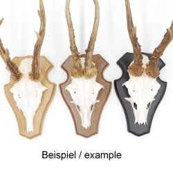 10 small deer trophy plaques, light oak, AF 19 cm x 11 cm