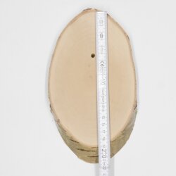 1 piece birch trophy plaque for deer tree disc tree plaque AF 19cm