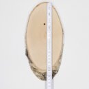 Birch trophy plaque for deer Tree disc Tree plaque AF 20cm