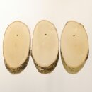 3 birch trophy shields for deer, tree disc, tree shield, AF 20 cm