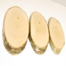 3 birch trophy shields for deer, tree disc, tree shield, AF 20 cm