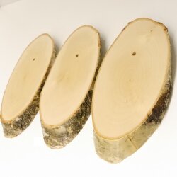 3 birch trophy shields for deer, tree disc, tree shield, AF 20 cm