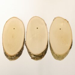 3 birch trophy shields for deer, tree disc, tree shield, AF 20 cm